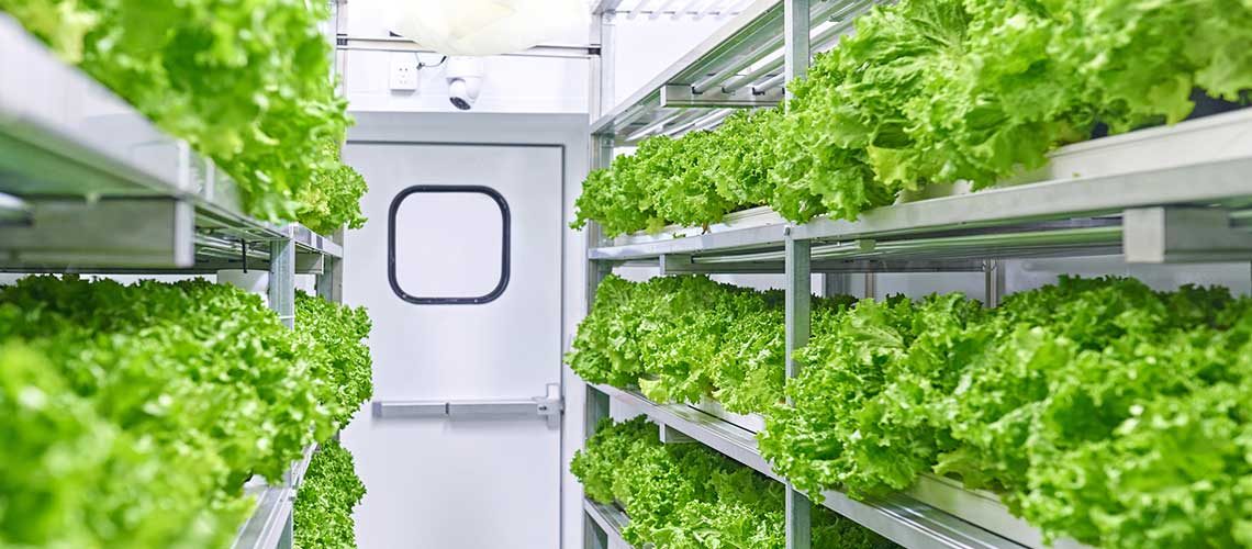 vertical-farming-in-shipping-container